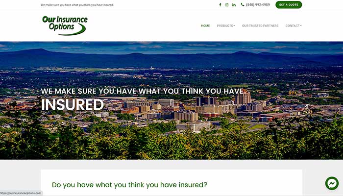 Our Insurance Options Website